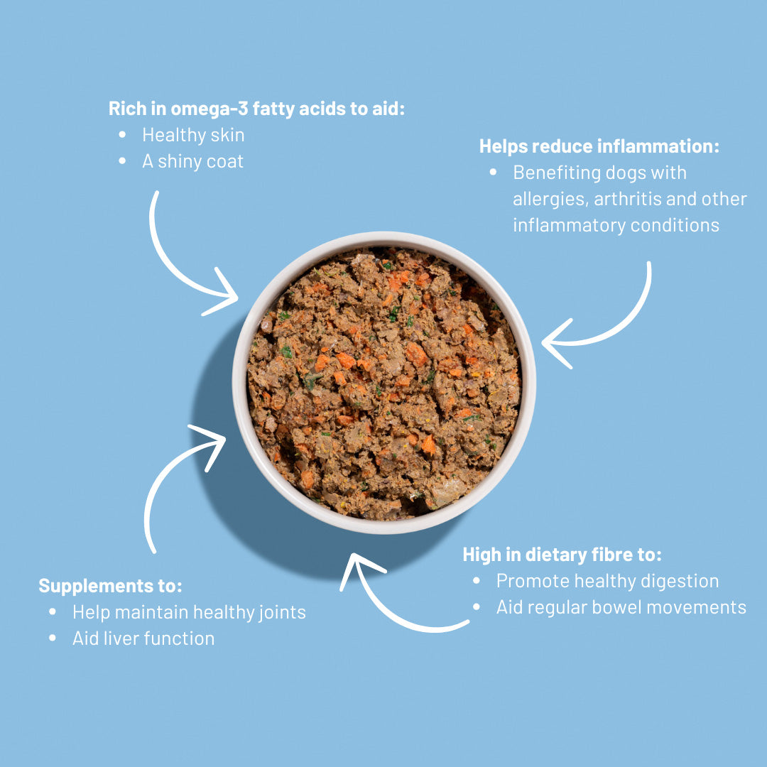 Fish meal health benefits