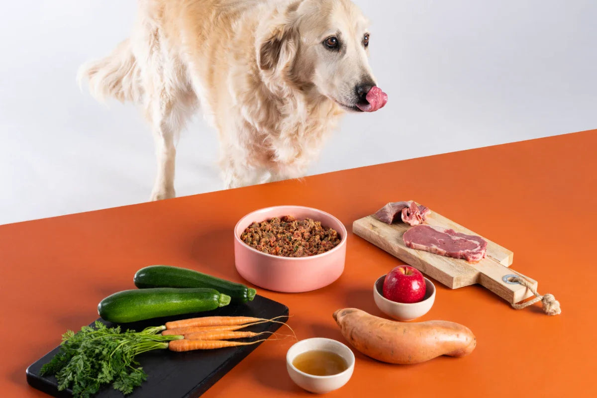 Is beef good for dogs?
