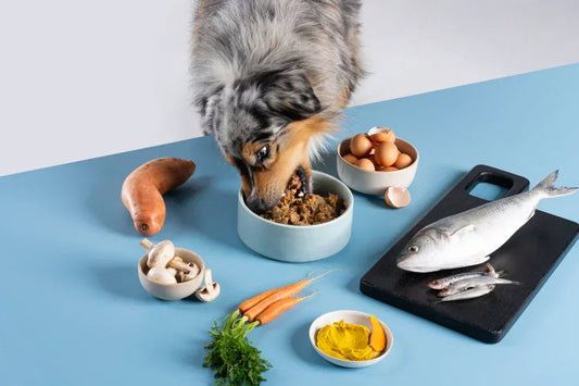 Benefits of lightly cooked dog food.