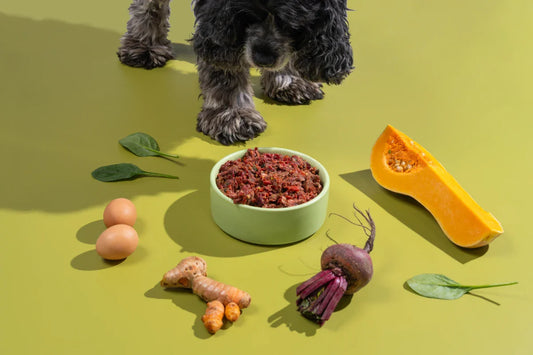 Is goat meat good for dogs?