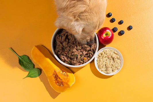 How Much Fat Should Dogs Eat