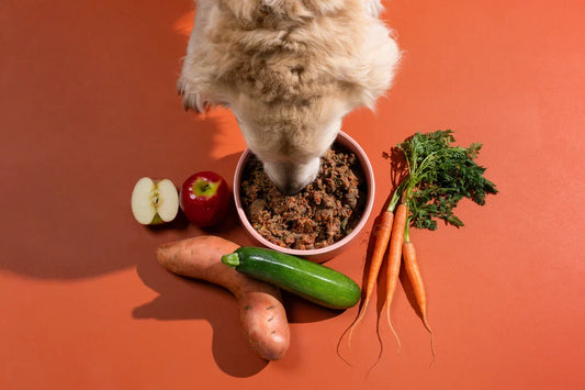 Dog eating lightly cooked dog food.