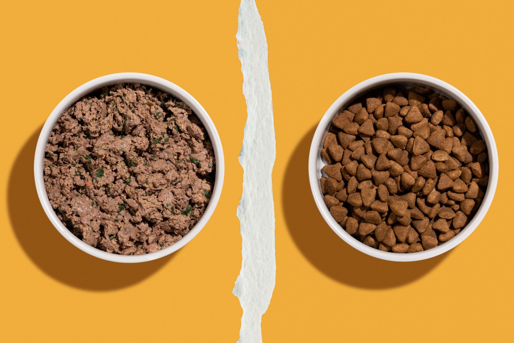 Lightly Cooked Dog Food vs Kibble