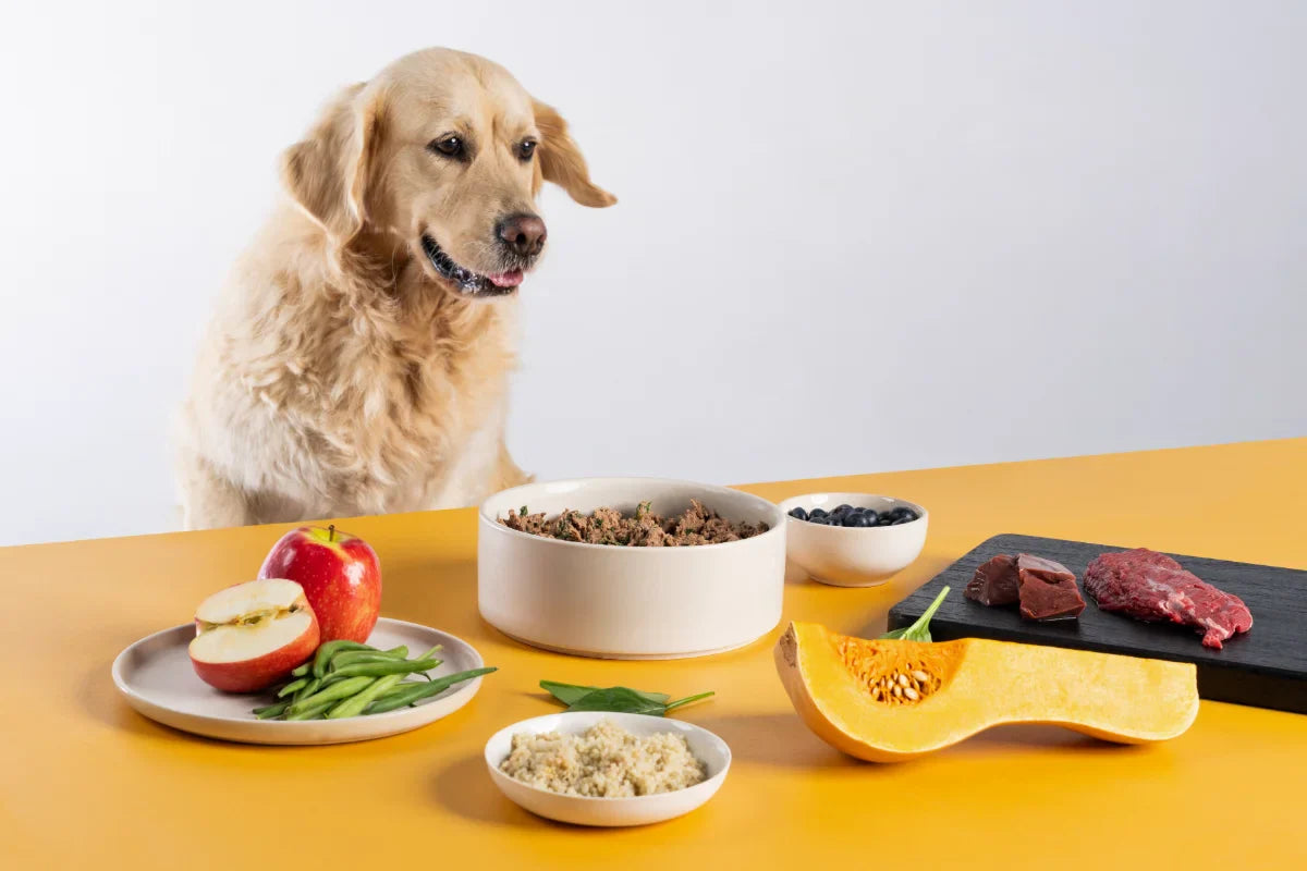 Dog looking at a bowl of lightly cooked dog food while the ingredients are on display around it. 
