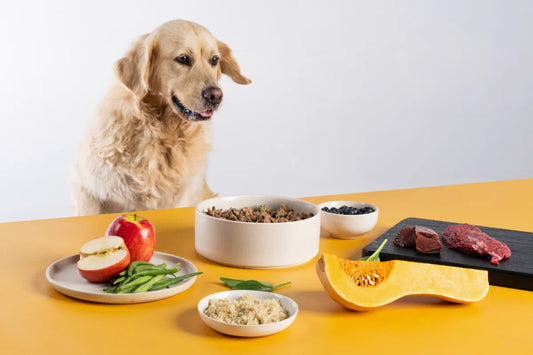 Dog looking at a bowl of lightly cooked dog food while the ingredients are on display around it. 