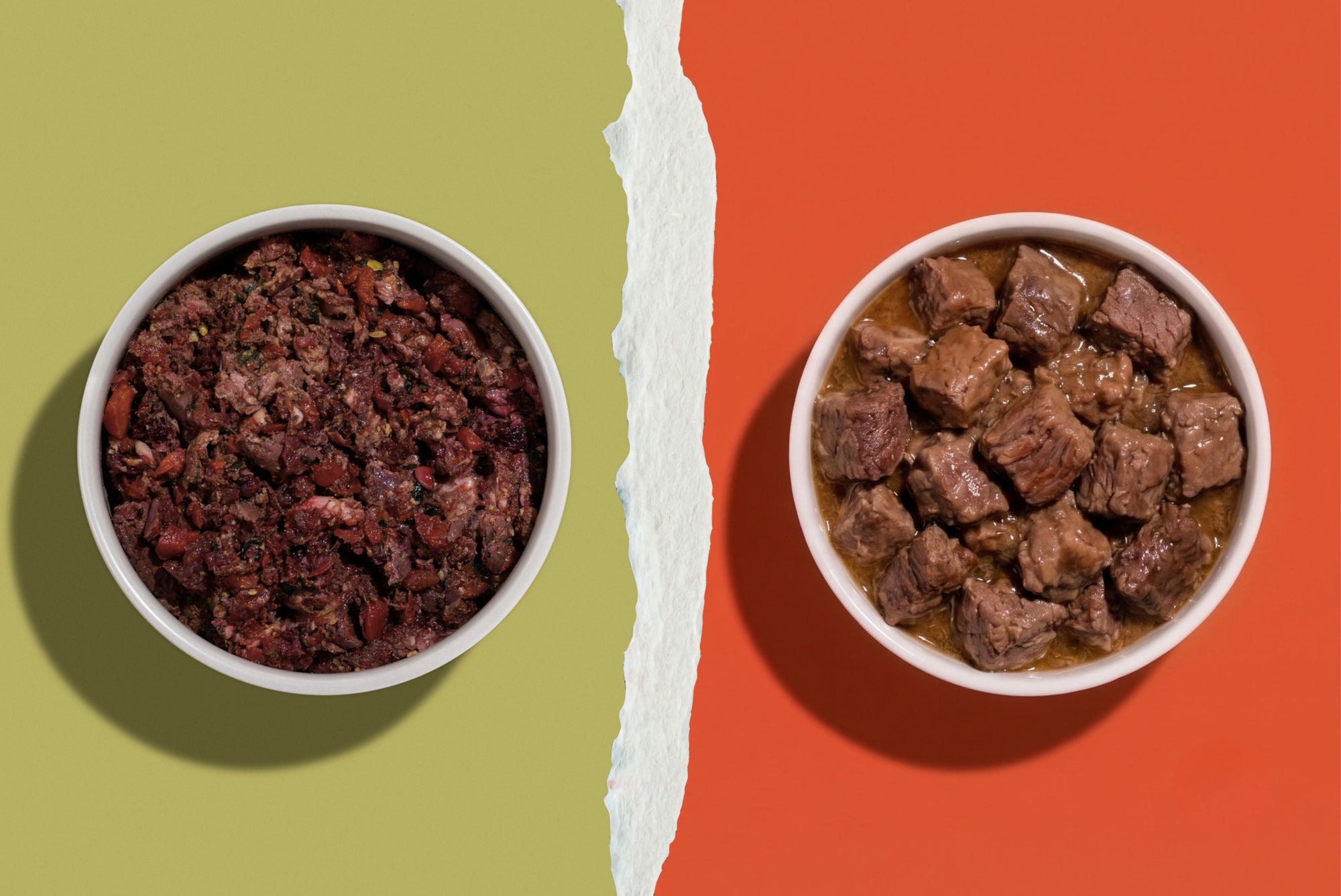 Lightly Cooked vs Canned Dog Food
