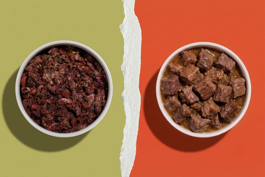 Lightly Cooked vs Canned Dog Food