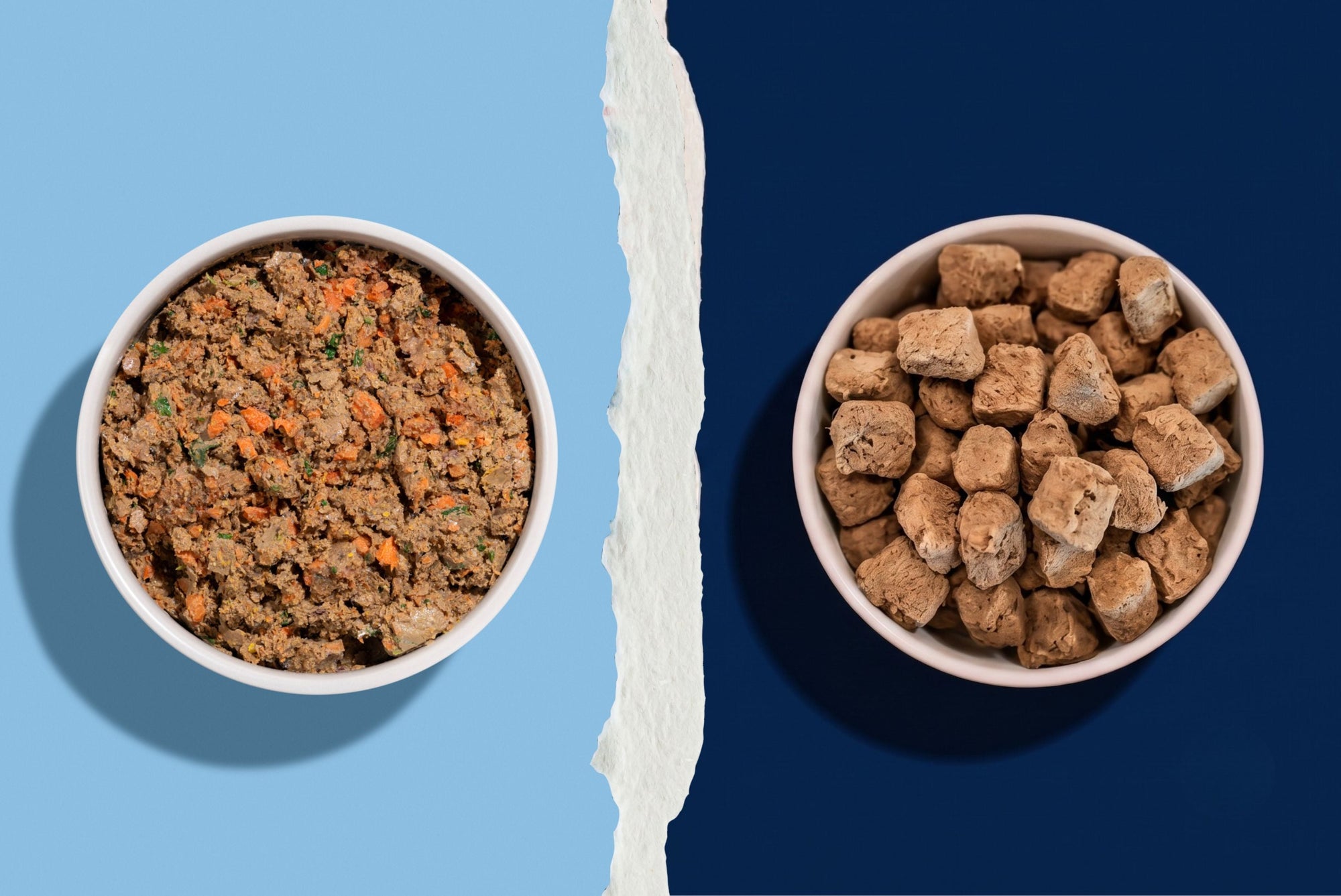 Lightly Cooked vs Freeze-Dried Dog Food