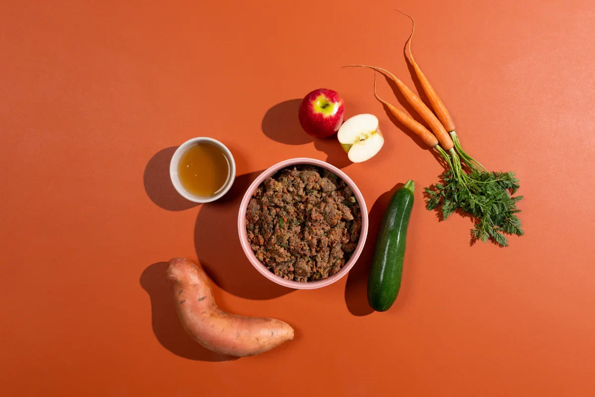 A bowl of lightly cooked dog food with ingredients on display around it. 