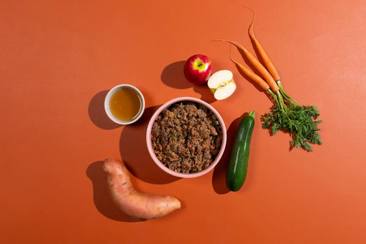 A bowl of lightly cooked dog food with ingredients on display around it. 