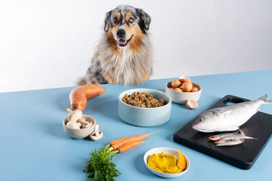 What Nutrients Do Dogs Need?