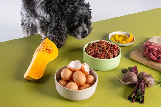 Dog looking at a bowl of lightly cooked dog food with ingredients on display