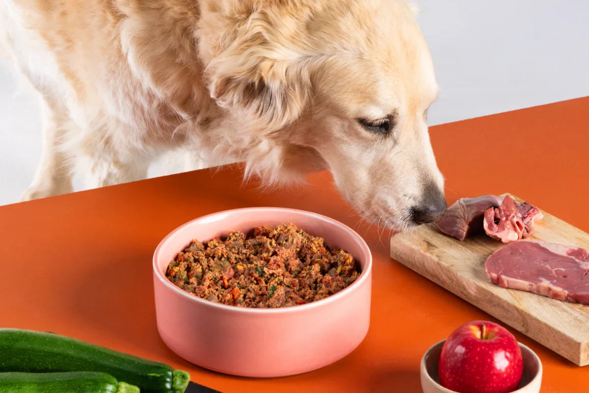 How Much Protein Does a Dog Need