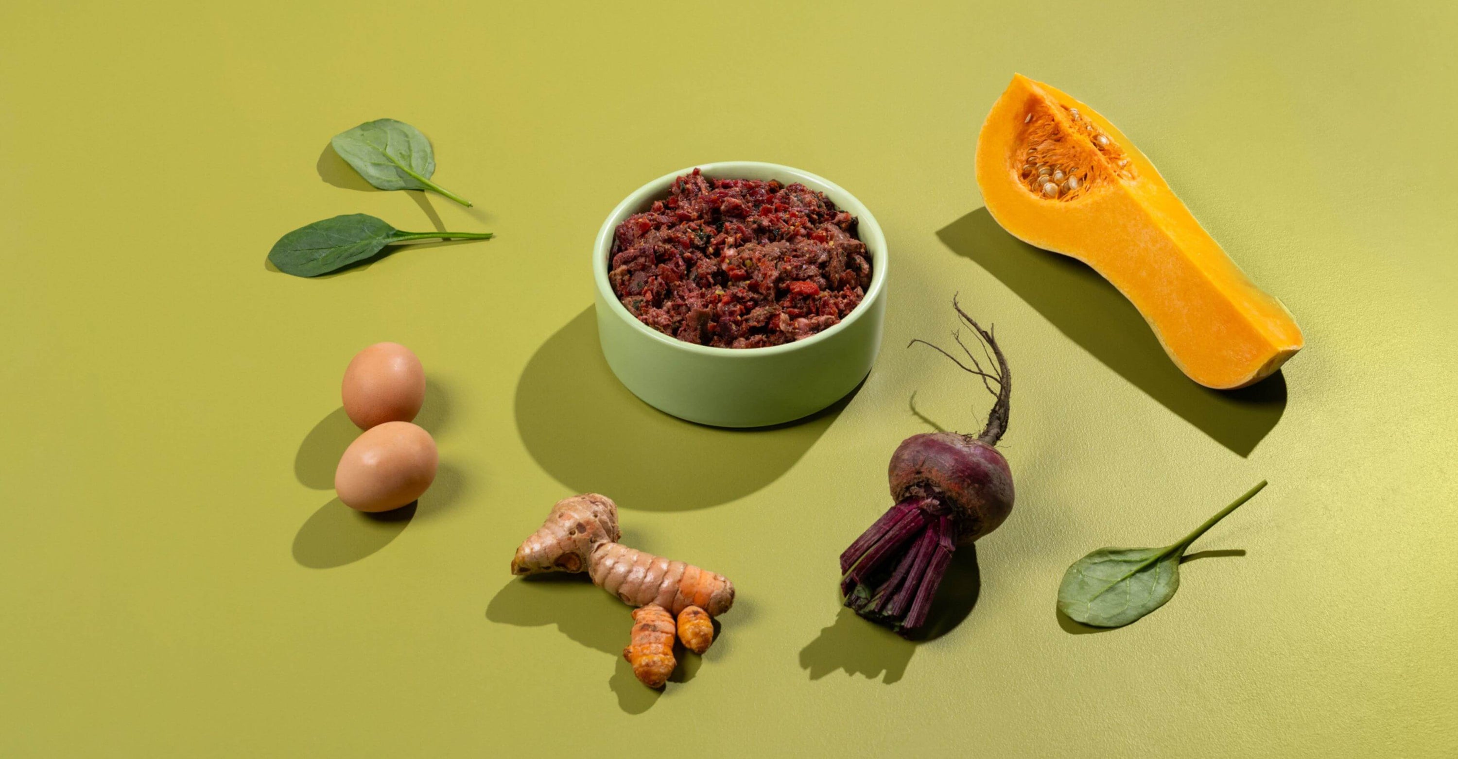 Raw vs. Lightly Cooked: The 5 Hounds Journey to Choosing the Best for Your Dog