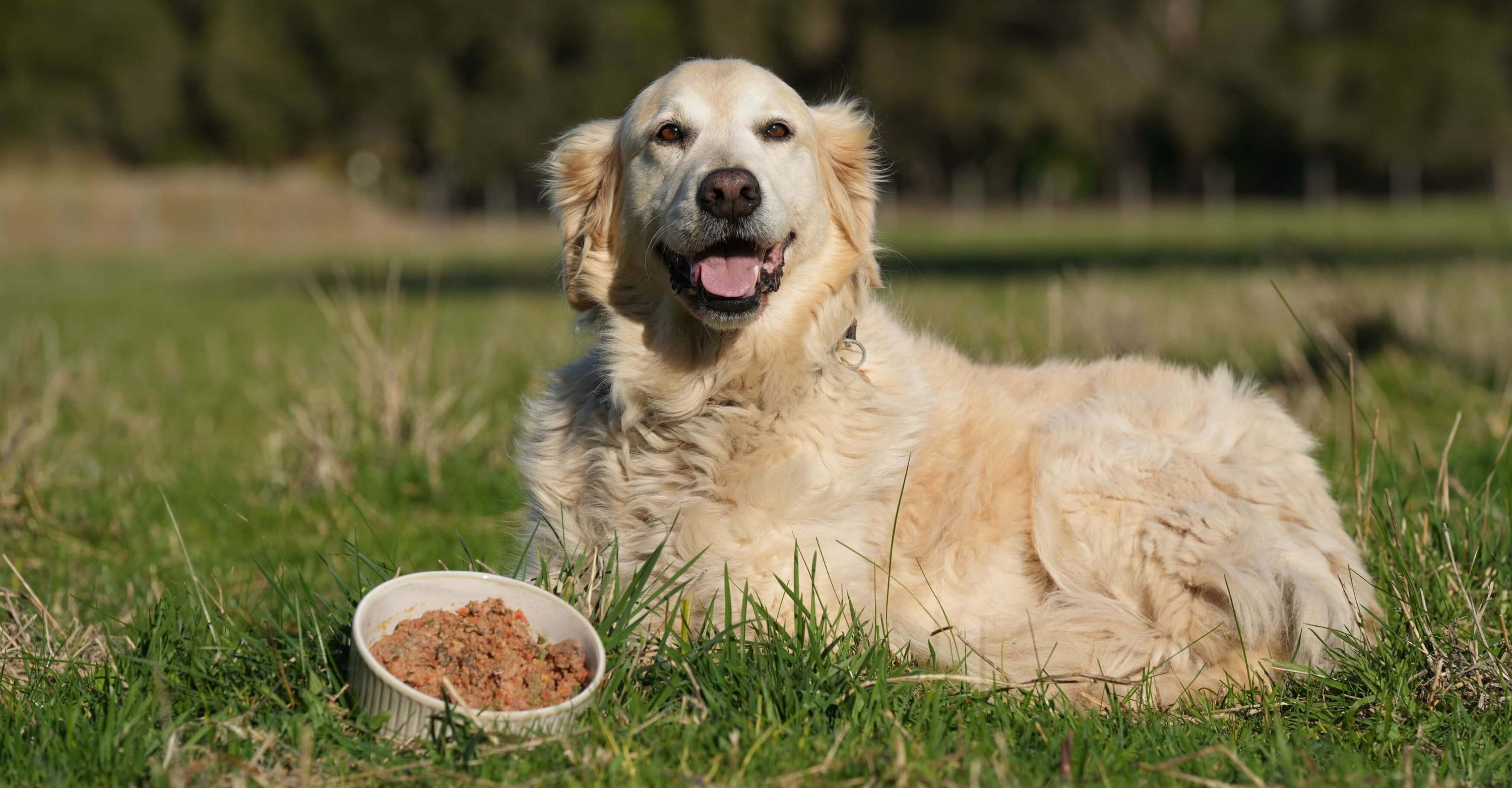 Unlock the Power of Symbiotics