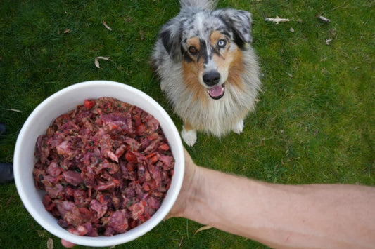 What Is Lightly Cooked Dog Food?