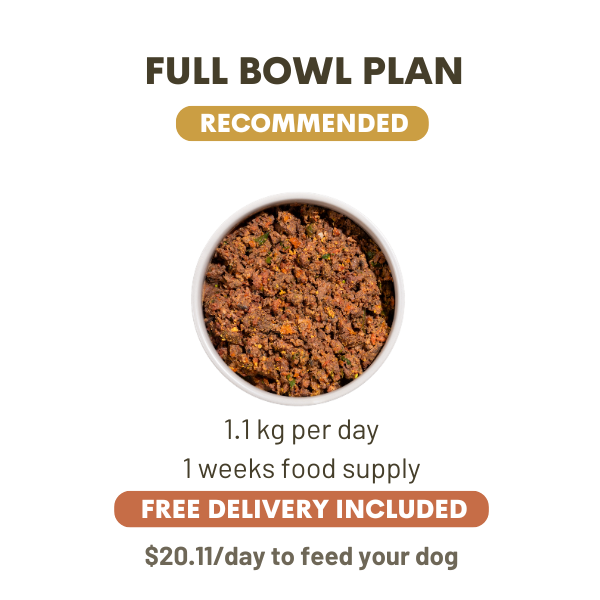 1100 Grams Per Day