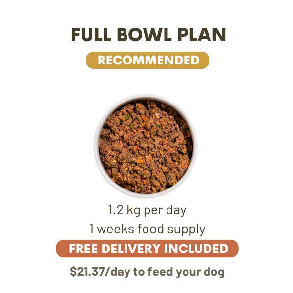 1200 Grams Per Day