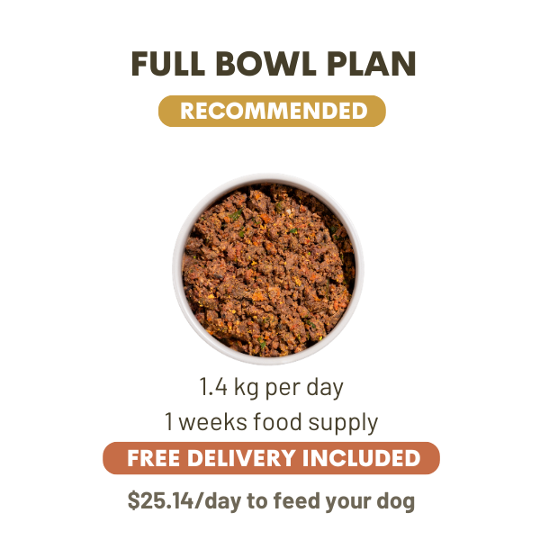1400 Grams Per Day
