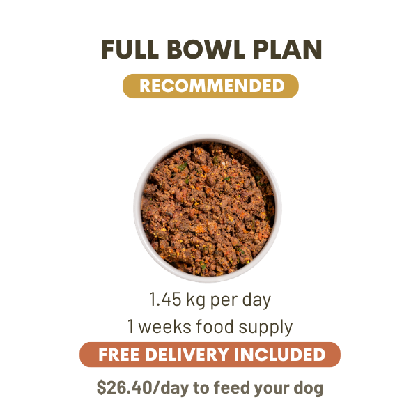 1450 Grams Per Day