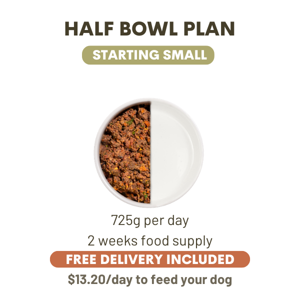 1450 Grams Per Day