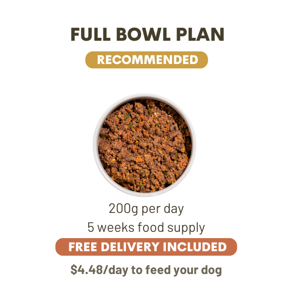 200 Grams Per Day