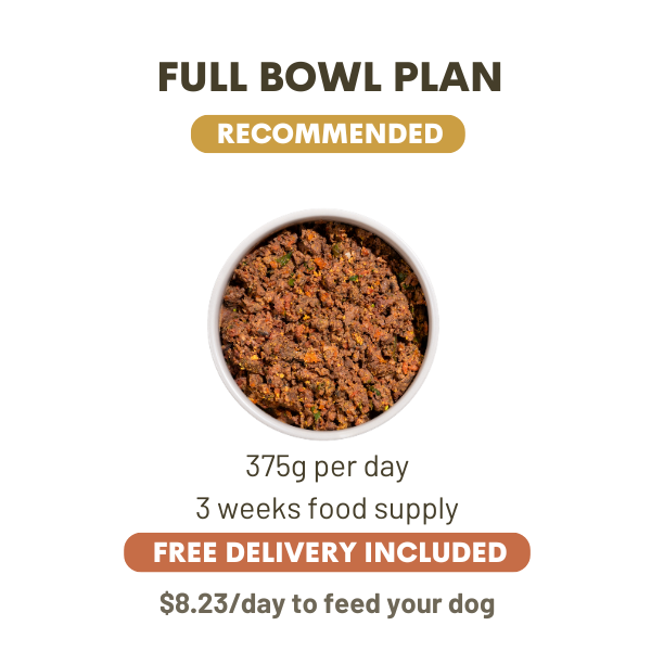 375 Grams Per Day