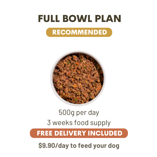 500 Grams Per Day
