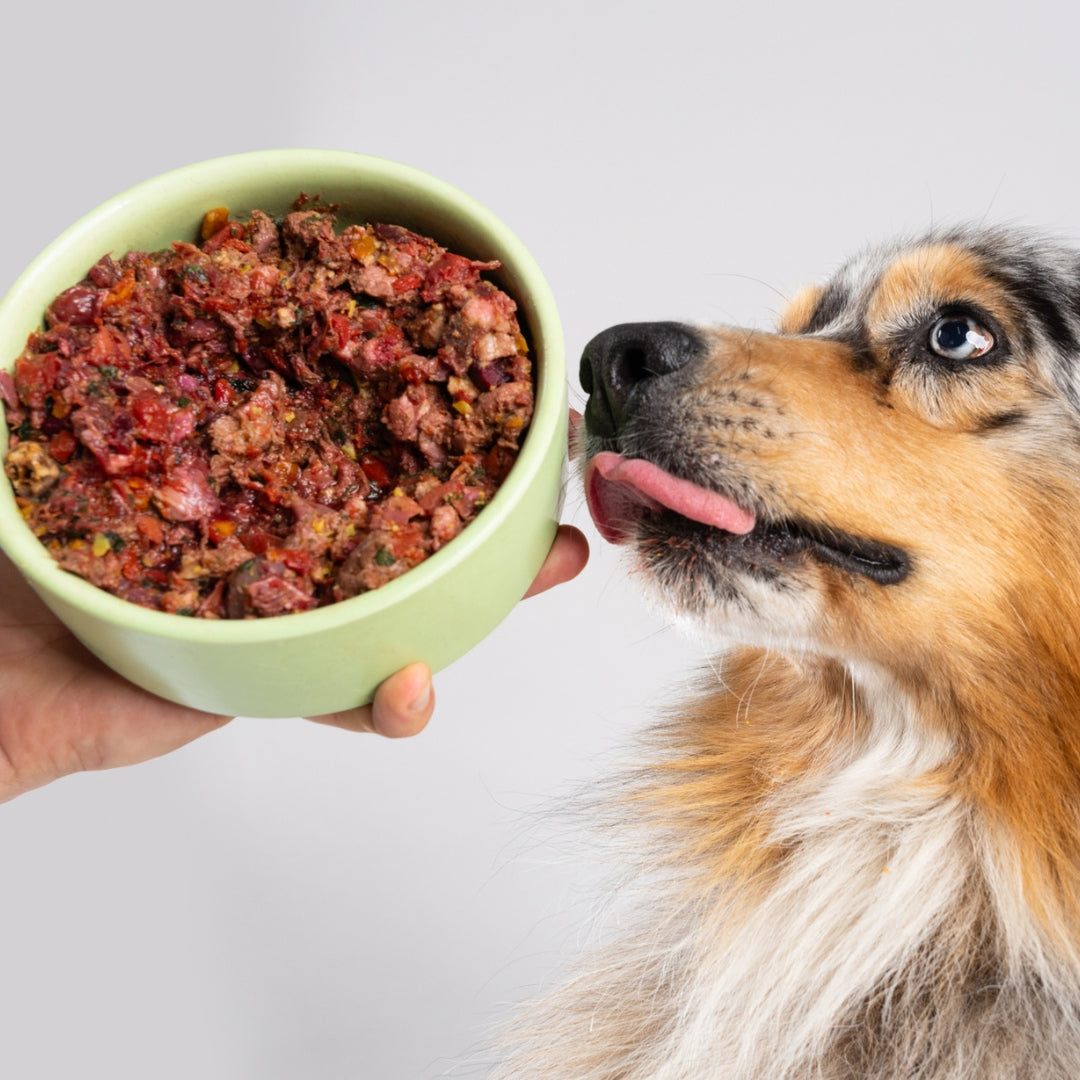 Full bowl plan, 2 weeks of food at $10.29/day
