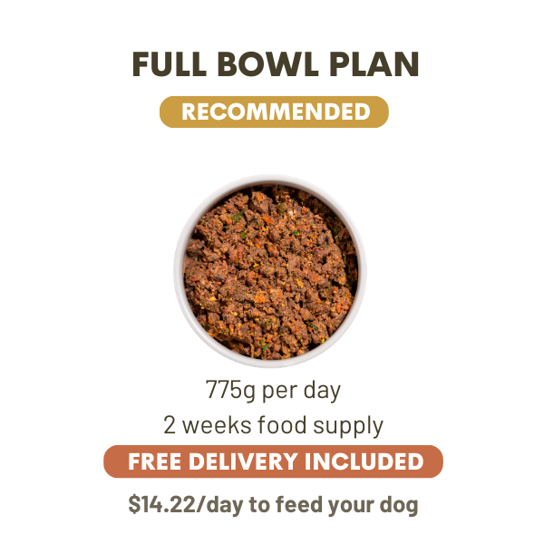 775 Grams Per Day