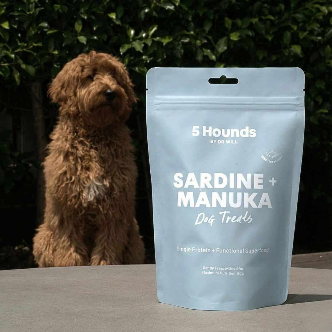 Freeze-Dried Sardine & Manuka Honey Treats