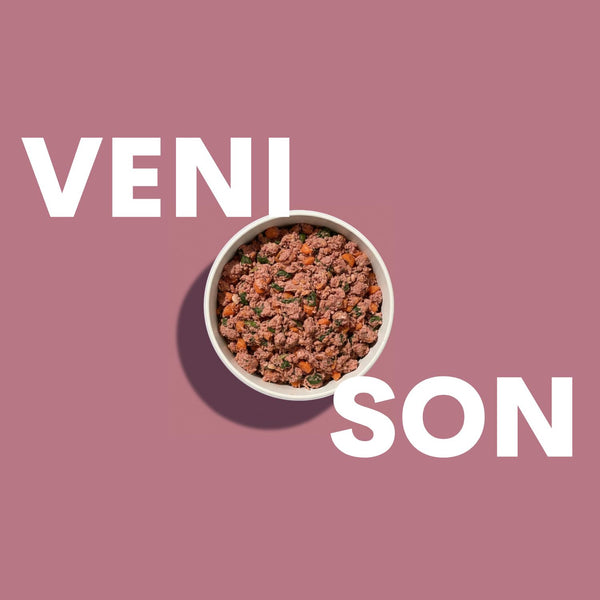 Venison