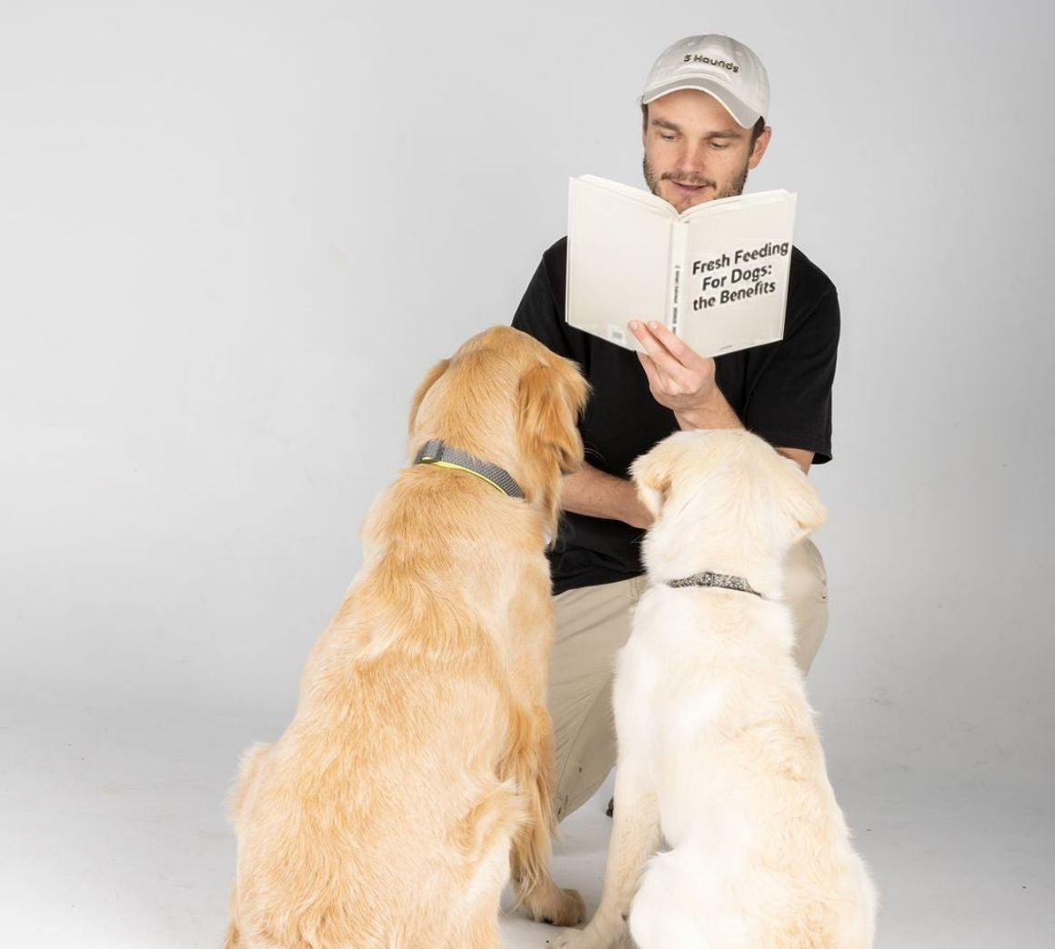 Dr. Will sharing dog health knowledge with his two Golden Retriever companions