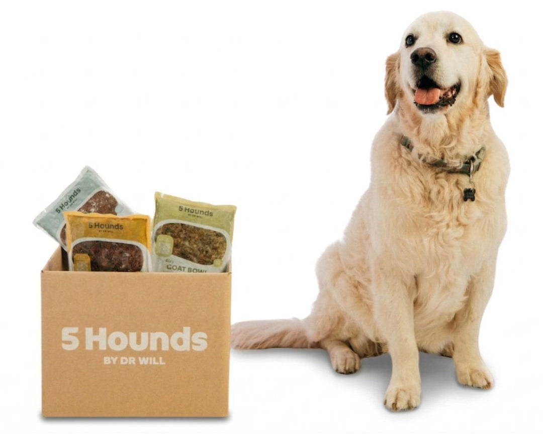 Dog sitting next to a box of '5 Hounds by Dr. Will' pet products on a white background