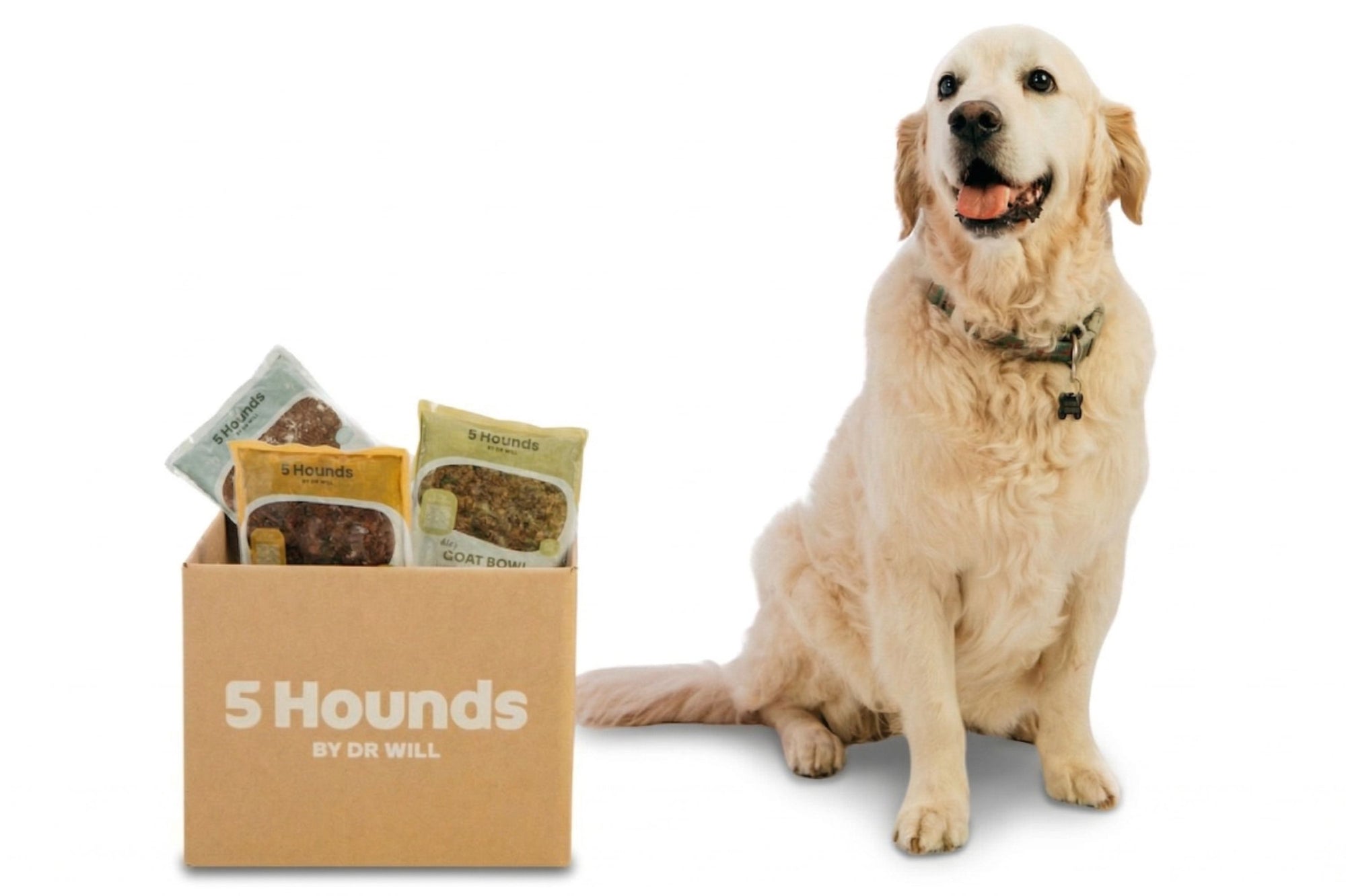 Dog sitting next to a box of 5 Hounds by Dr. Will pet products on a white background