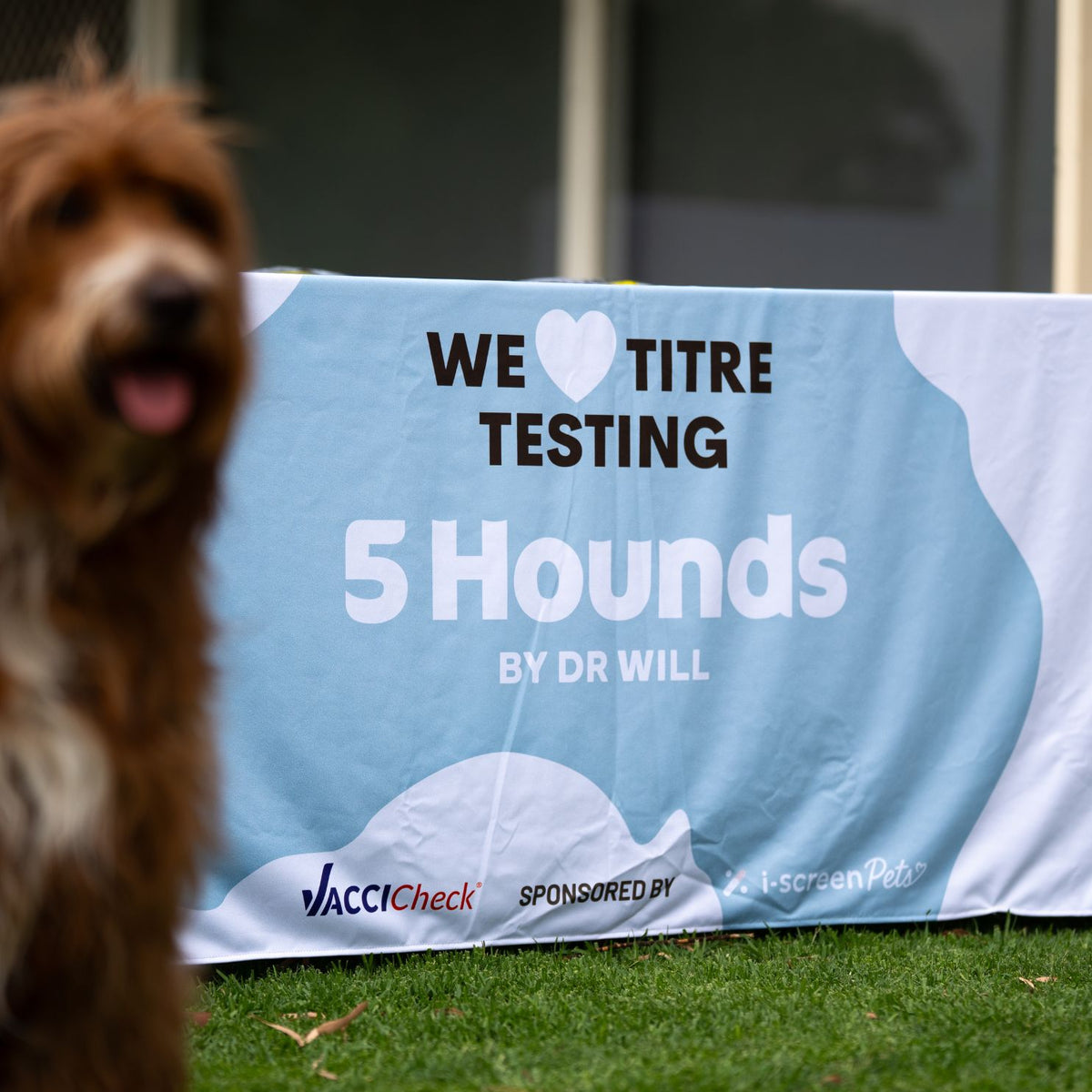 Dog Titre Testing Australia | 5 Hounds 2026 Roadshow